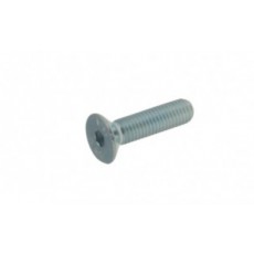TPSCEI screw 8 x 40