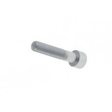 231 - Socket-head screw 10x50