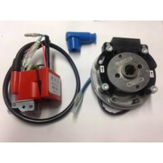pvl variable ignition behavior for all engines vortex and iame kart - ACCENSIONE VARIABILE PVL VORTEX IAME